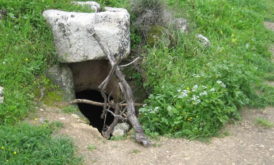 אלבום תמונות: אלבום תמונות: