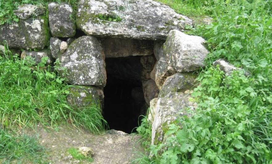 אלבום תמונות: אלבום תמונות: