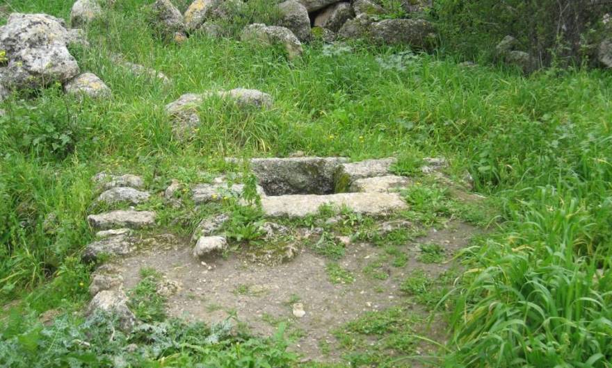 אלבום תמונות: אלבום תמונות: