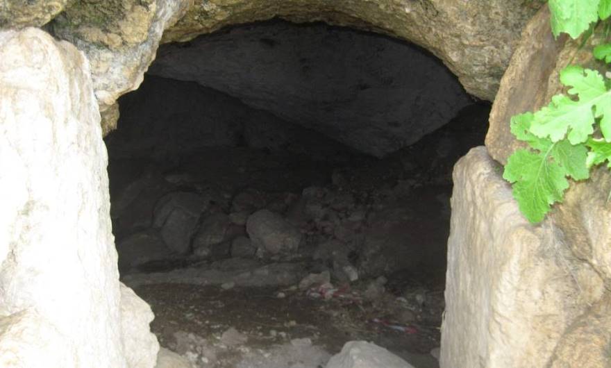 אלבום תמונות: אלבום תמונות: