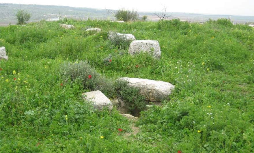 אלבום תמונות: אלבום תמונות: