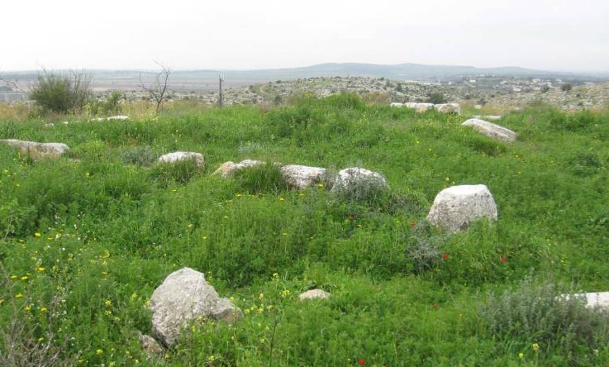 אלבום תמונות: אלבום תמונות: