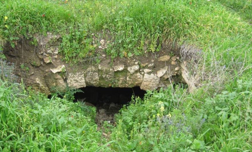 אלבום תמונות: אלבום תמונות: