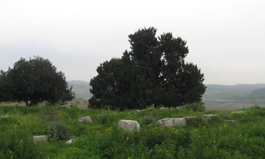 אלבום תמונות: אלבום תמונות: