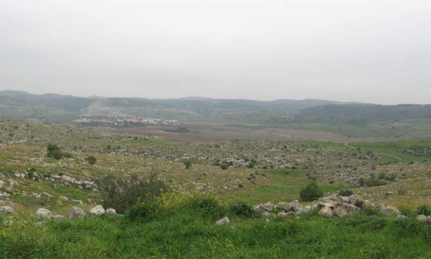 אלבום תמונות: אלבום תמונות: