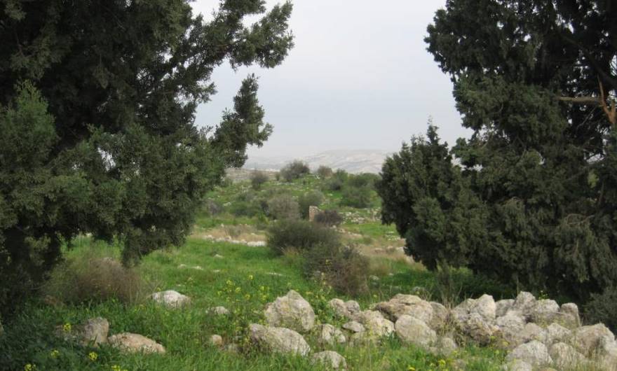 אלבום תמונות: אלבום תמונות: