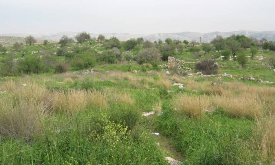 אלבום תמונות: אלבום תמונות: