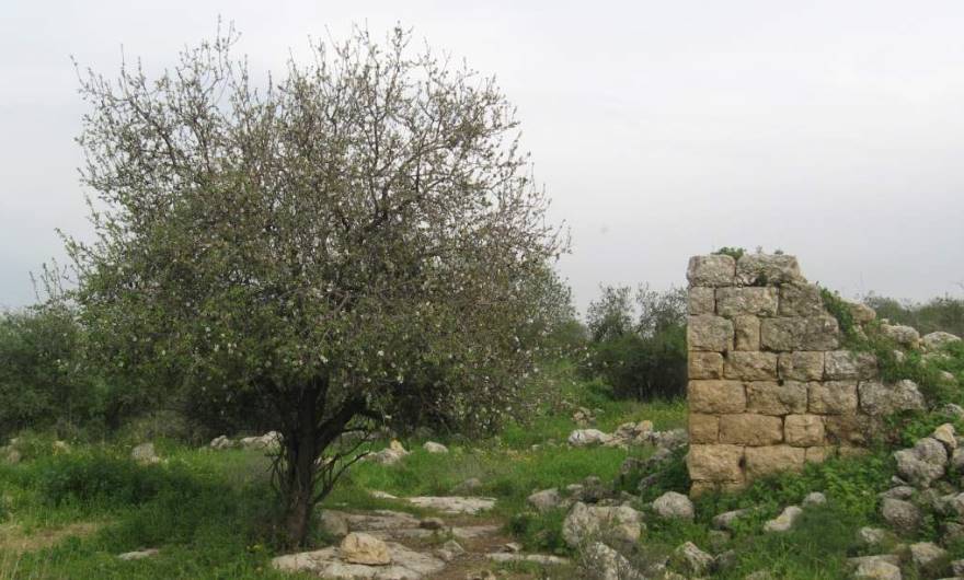 אלבום תמונות: אלבום תמונות: