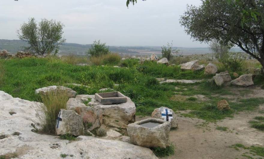 אלבום תמונות: אלבום תמונות: