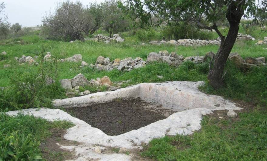 אלבום תמונות: אלבום תמונות: