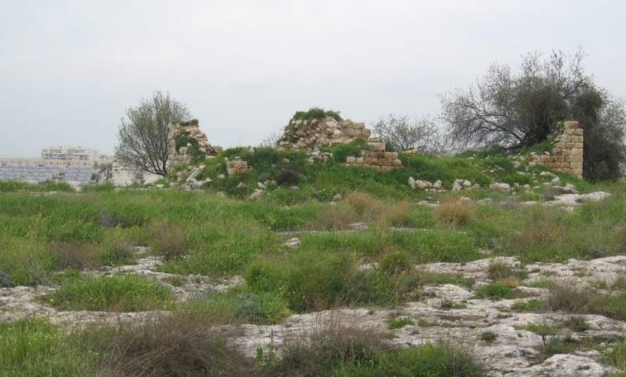 אלבום תמונות: אלבום תמונות: