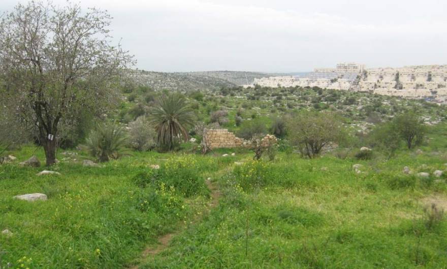 אלבום תמונות: אלבום תמונות: