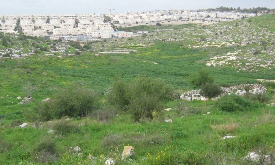 אלבום תמונות: אלבום תמונות: