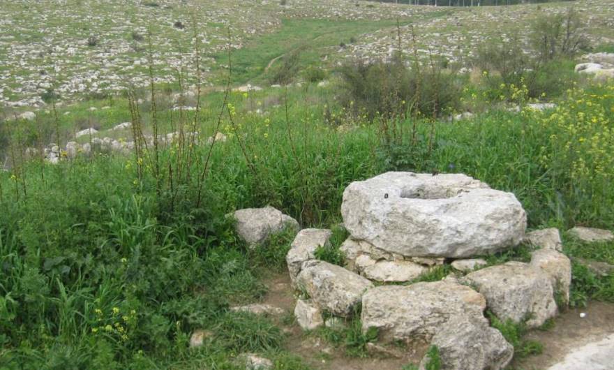 אלבום תמונות: בור מים בירידה מחורבת בארית בדרך חזרה לכיכר השוטר. המשך הדרך נראית בוואדי, מעל לבור המים אלבום תמונות: בור מים בירידה מחורבת בארית בדרך חזרה לכיכר השוטר. המשך הדרך נראית בוואדי, מעל לבור המים