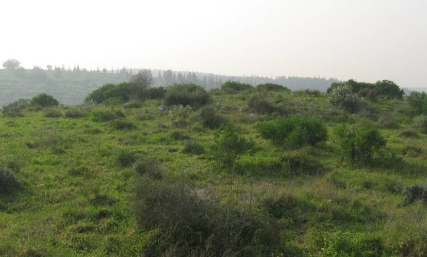 אלבום תמונות: גבעת חורבת קלך. ברקע משמאל – גבעת חורבת זכריה