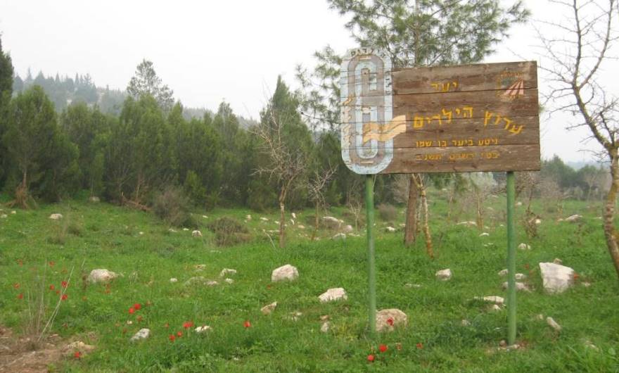 אלבום תמונות: שלט יער ערוץ הילדים במערב בקעת המערות