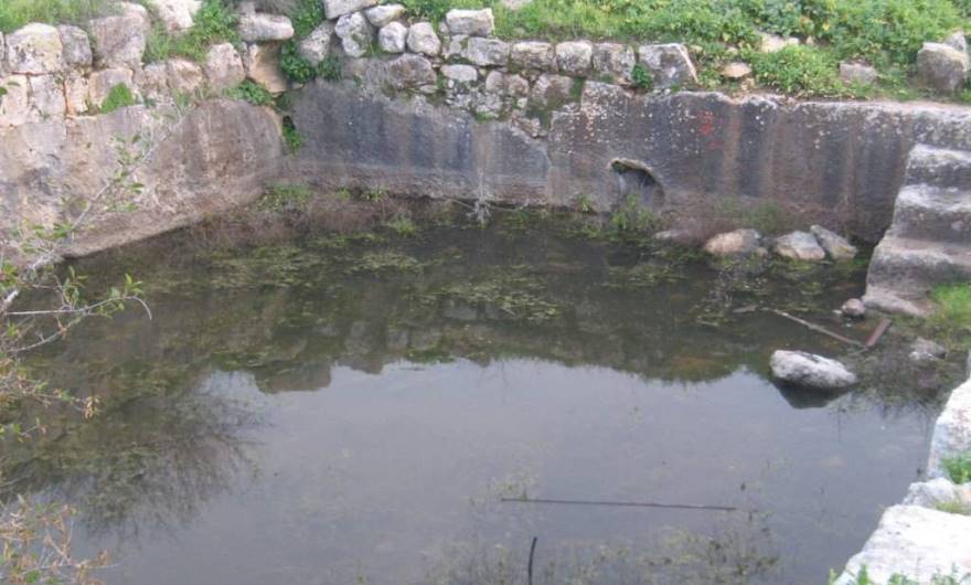 ברכת ביר א-שאמי