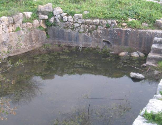 ברכת א-שאמי