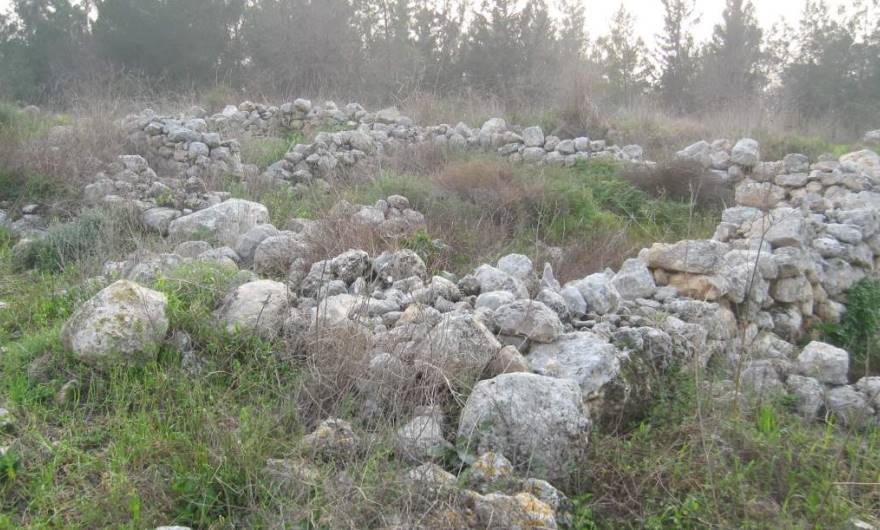 אלבום תמונות: חורבות בראש גבעת זכריה
