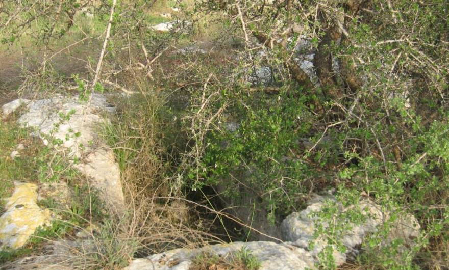 אלבום תמונות: קבר מקמר (ארקוסוליה) ממזרח לחורבת קלך