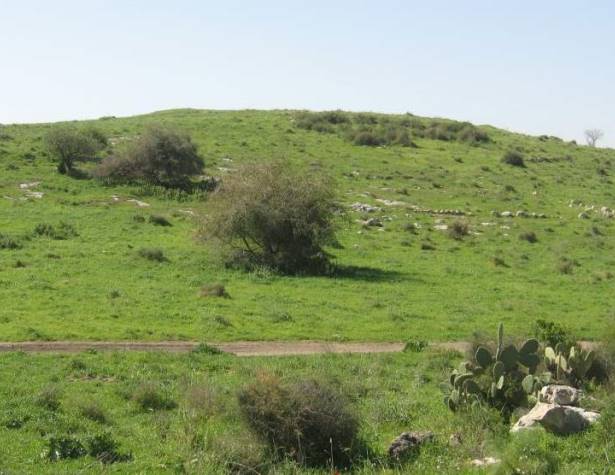 הגבעה המערבית הגבעה המערבית