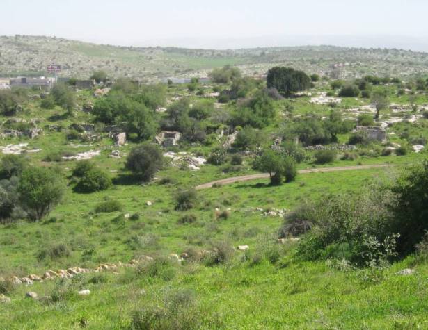 מראה הגבעה הצפון-מזרחית. מבט לכיוון מזרח מראה הגבעה הצפון-מזרחית. מבט לכיוון מזרח