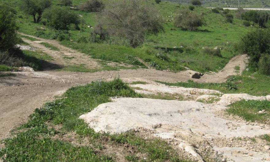 אלבום תמונות: במרכז הגבעה, באוכף טופוגרפי קטן, צומת דרכים: אל הוואדי הקטן והגבעה המערבית אלבום תמונות: במרכז הגבעה, באוכף טופוגרפי קטן, צומת דרכים: אל הוואדי הקטן והגבעה המערבית