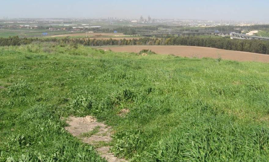 אלבום תמונות: תצפית מערבה מפסגת הגבעה המערבית אלבום תמונות: תצפית מערבה מפסגת הגבעה המערבית