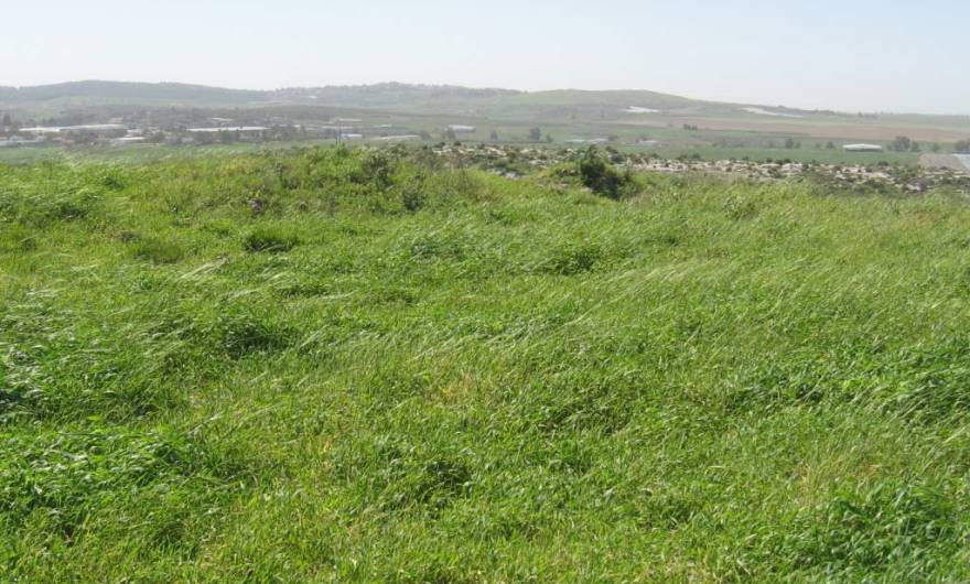 אלבום תמונות: תצפית דרומה מראש הגבעה המערבית – באופק רכס תל גזר ויער המגנים (בקוע) אלבום תמונות: תצפית דרומה מראש הגבעה המערבית – באופק רכס תל גזר ויער המגנים (בקוע)