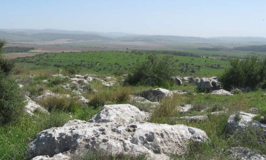 אלבום תמונות: תצפית לכיוון דרום-מזרח מראש הגבעה המזרחית – עמק איילון והרי ירושלים אלבום תמונות: תצפית לכיוון דרום-מזרח מראש הגבעה המזרחית – עמק איילון והרי ירושלים