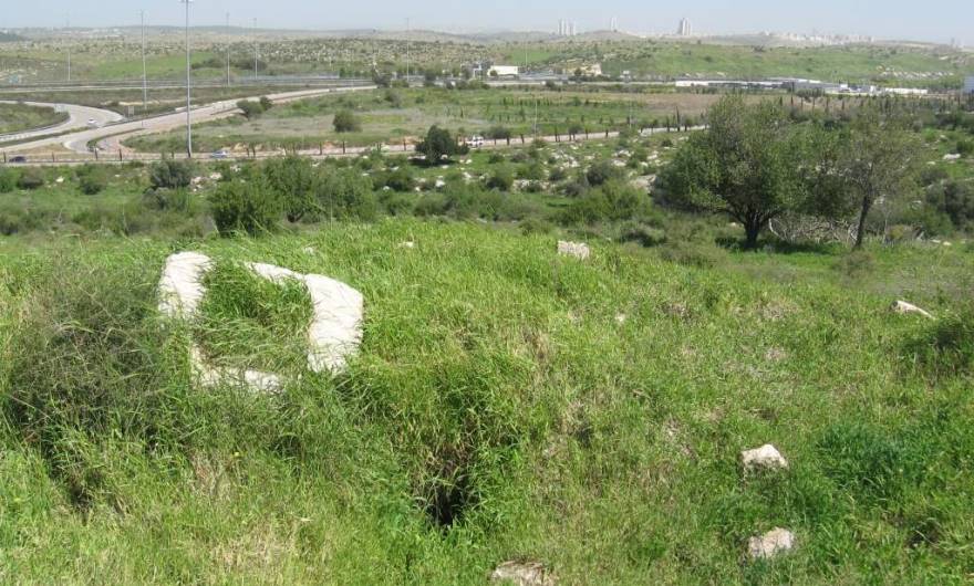 אלבום תמונות: אלבום תמונות: