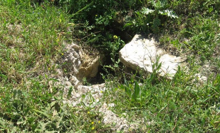 אלבום תמונות: אלבום תמונות: