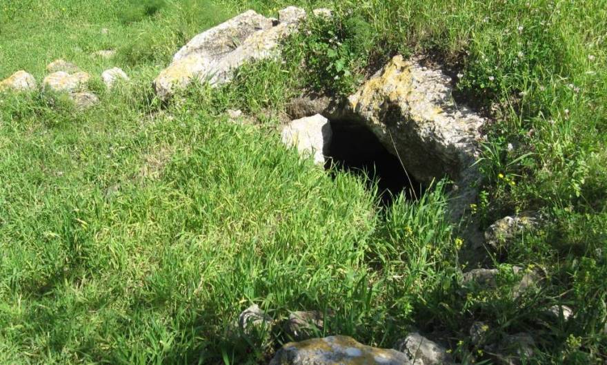 אלבום תמונות: אלבום תמונות: