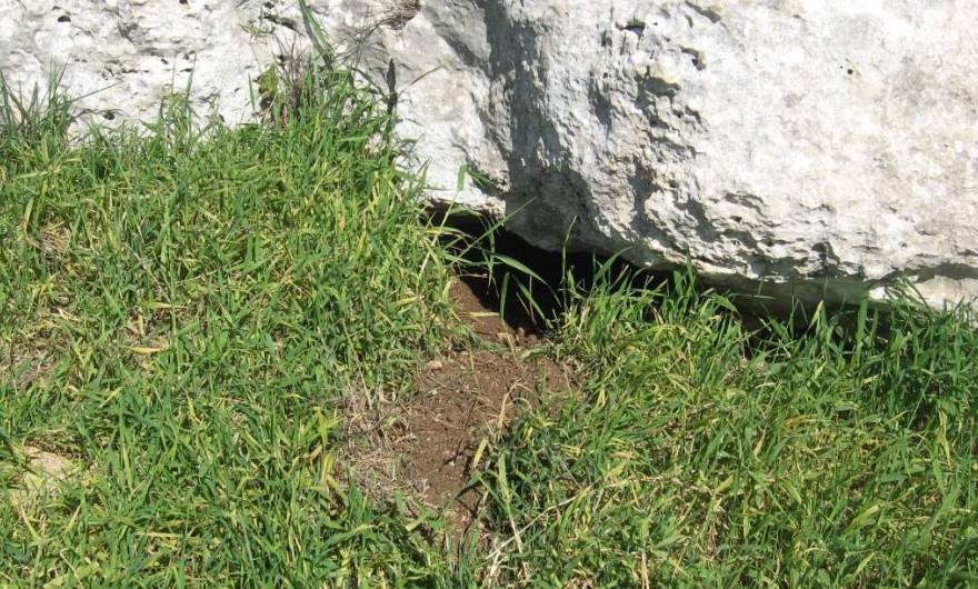 אלבום תמונות: מאורה מתחת לסלע בגבעה מזרחית אלבום תמונות: מאורה מתחת לסלע בגבעה מזרחית