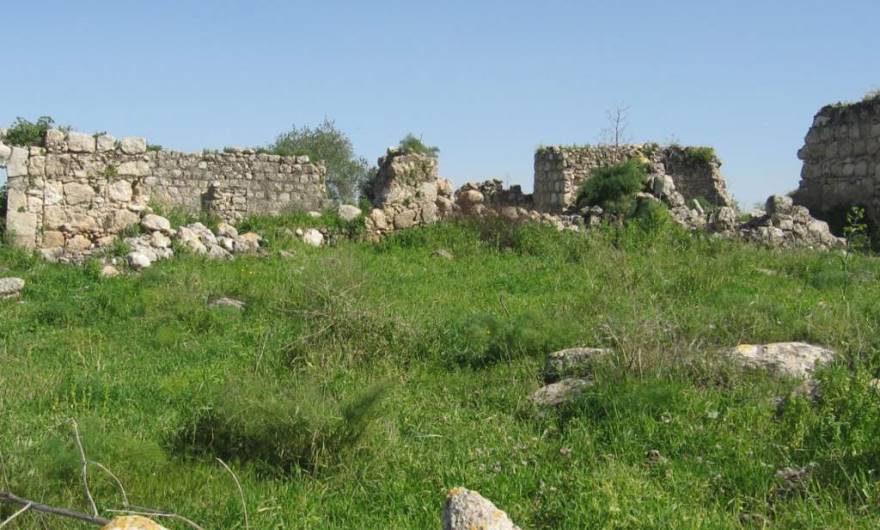 אלבום תמונות: שרידי הכפר אל-כונייסה אלבום תמונות: שרידי הכפר אל-כונייסה