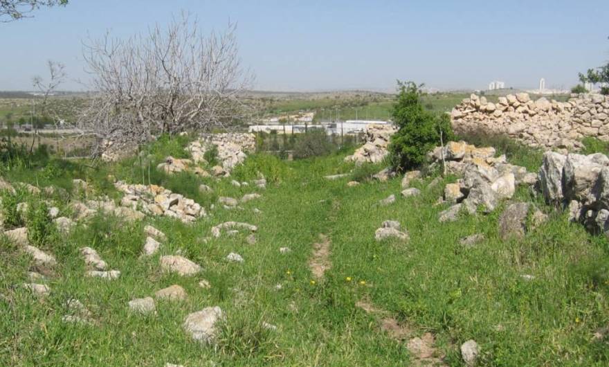 אלבום תמונות: הסמטה המרכזית של הכפר אלבום תמונות: הסמטה המרכזית של הכפר