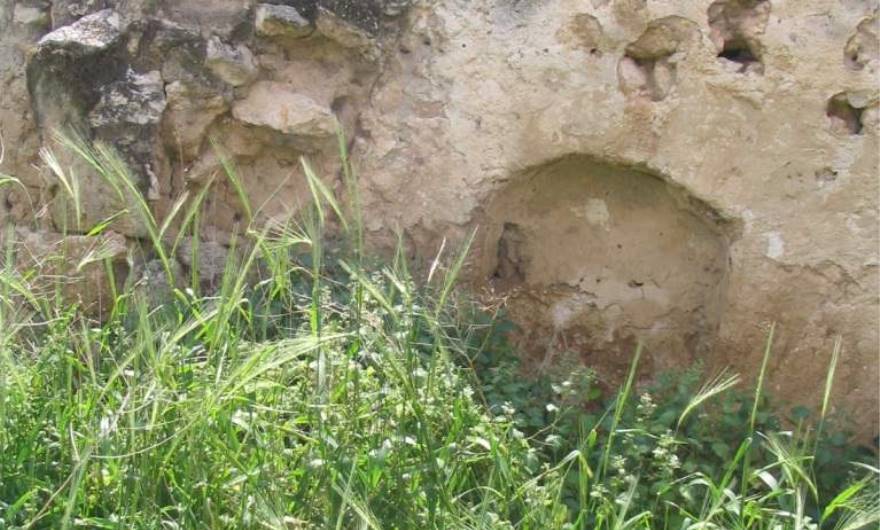 אלבום תמונות: שרידי הכפר אל-כונייסה אלבום תמונות: שרידי הכפר אל-כונייסה