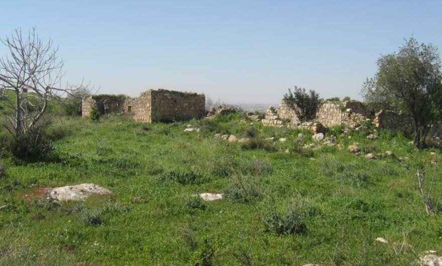 אלבום תמונות: שרידי הכפר אל-כונייסה אלבום תמונות: שרידי הכפר אל-כונייסה