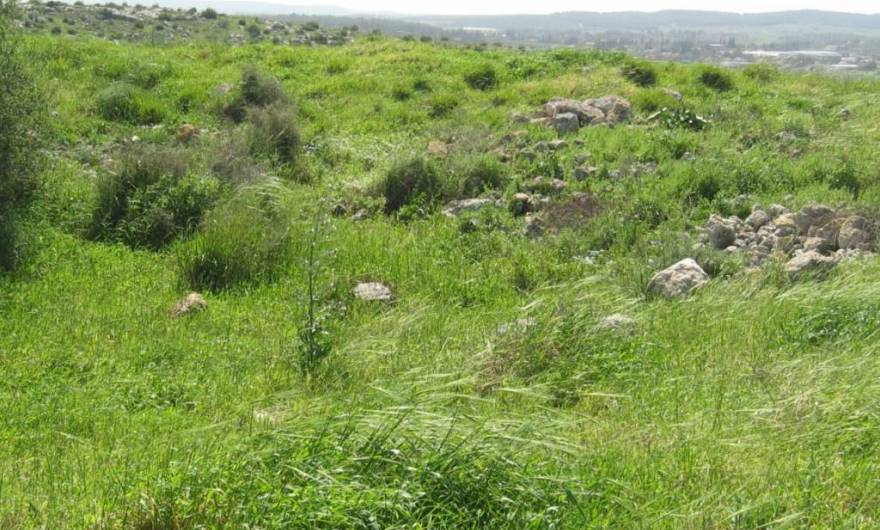 אלבום תמונות: חורבות בפסגת הגבעה מערבית אלבום תמונות: חורבות בפסגת הגבעה מערבית