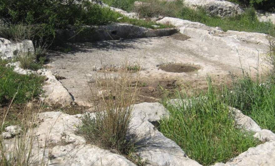 אלבום תמונות: גת – הגבעה המזרחית אלבום תמונות: גת – הגבעה המזרחית