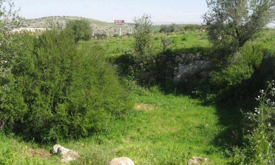 אלבום תמונות: בריכה חצובה גדולה – המדרון הצפוני של גבעת אל-כונייסה אלבום תמונות: בריכה חצובה גדולה – המדרון הצפוני של גבעת אל-כונייסה