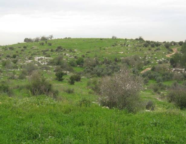 גבעת רגב – מראה מגבעת חרובה. מימין נראית דרך העפר 