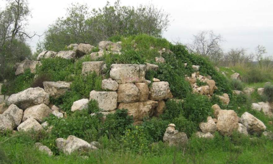 אלבום תמונות: 