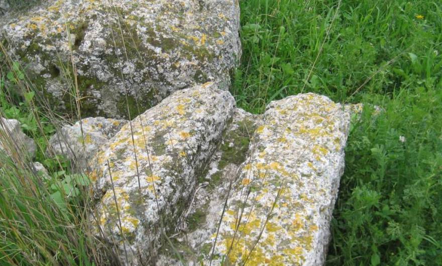 אלבום תמונות: 