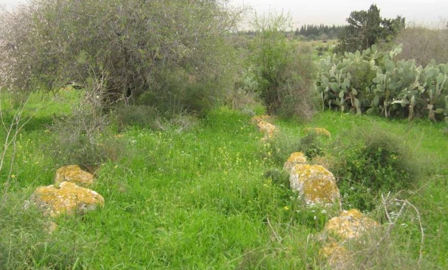 אלבום תמונות: שרידי דרך