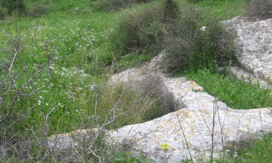 אלבום תמונות: גת אשר הוסבה מאוחר יותר למערת קבורה – המדרון הצפוני של גבעת חרובה