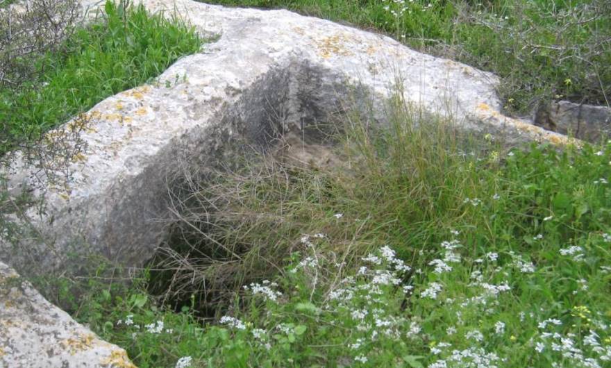 אלבום תמונות: גת אשר הוסבה מאוחר יותר למערת קבורה – המדרון הצפוני של גבעת חרובה