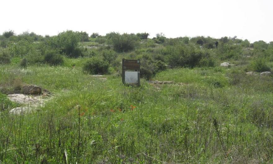 אלבום תמונות: צמד השלטים ליד נקודת המוצא של השבילים המסומנים שעל הגבעה אלבום תמונות: צמד השלטים ליד נקודת המוצא של השבילים המסומנים שעל הגבעה