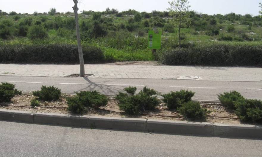 אלבום תמונות: שלט גבעת שר הצמוד לכביש שדרות החשמונאים, מול אום אל-עומדאן אלבום תמונות: שלט גבעת שר הצמוד לכביש שדרות החשמונאים, מול אום אל-עומדאן