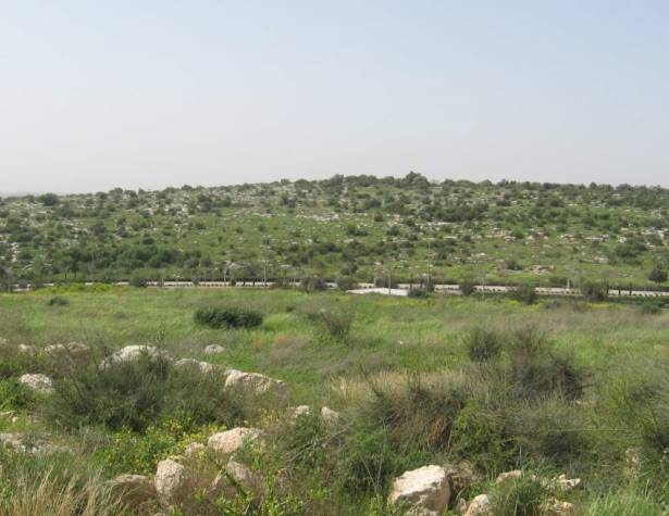 גבעת שר – מראה כללי, מבט ממזרח למערב גבעת שר – מראה כללי, מבט ממזרח למערב